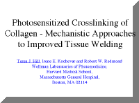 thpage1.gif (8771 bytes)