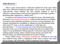 thpage2.gif (17973 bytes)